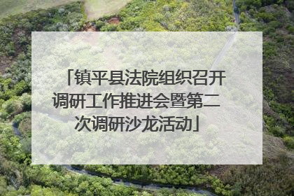 镇平县法院组织召开调研工作推进会暨第二次调研沙龙活动