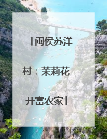 闽侯苏洋村：茉莉花开富农家