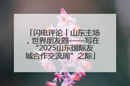 闪电评论丨山东主场，世界朋友圈——写在“2025山东国际友城合作交流周”之际