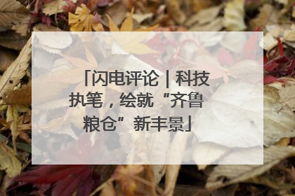 闪电评论｜科技执笔，绘就“齐鲁粮仓”新丰景
