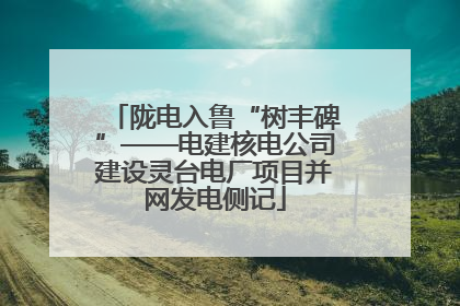 陇电入鲁“树丰碑”——电建核电公司建设灵台电厂项目并网发电侧记