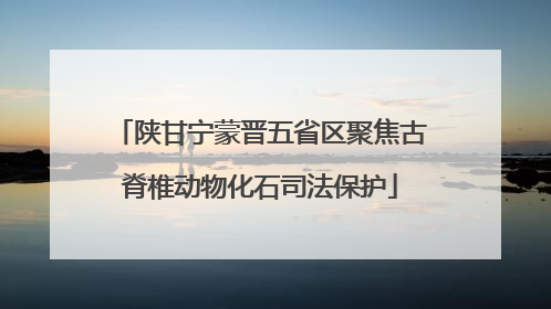 陕甘宁蒙晋五省区聚焦古脊椎动物化石司法保护