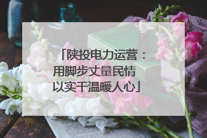 陕投电力运营：用脚步丈量民情 以实干温暖人心
