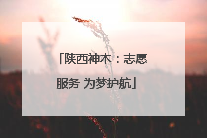 陕西神木：志愿服务 为梦护航