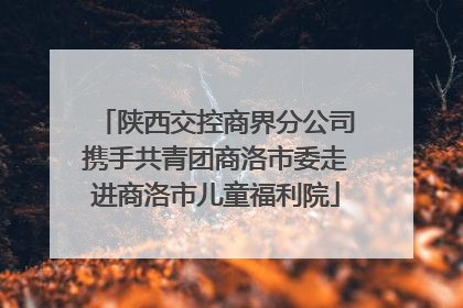 陕西交控商界分公司携手共青团商洛市委走进商洛市儿童福利院