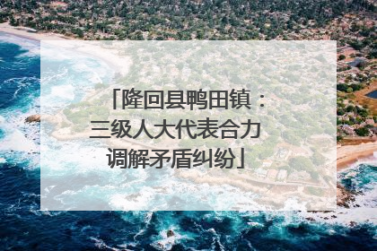 隆回县鸭田镇：三级人大代表合力调解矛盾纠纷
