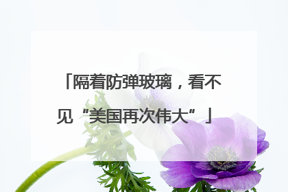 隔着防弹玻璃，看不见“美国再次伟大”
