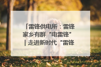雷锋供电所：雷锋家乡有群“电雷锋”｜走进新时代“雷锋传人 长沙榜样”