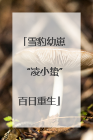 雪豹幼崽“凌小蛰”百日重生
