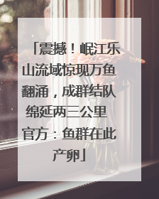 震撼！岷江乐山流域惊现万鱼翻涌，成群结队绵延两三公里 官方：鱼群在此产卵