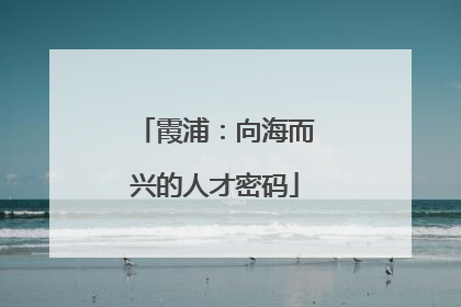 霞浦：向海而兴的人才密码
