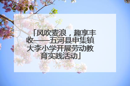风吹麦浪，趣享丰收——五河县申集镇大李小学开展劳动教育实践活动