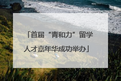 首届“青和力”留学人才嘉年华成功举办