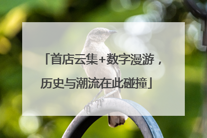 首店云集+数字漫游，历史与潮流在此碰撞