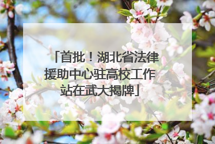 首批！湖北省法律援助中心驻高校工作站在武大揭牌