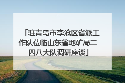 驻青岛市李沧区省派工作队莅临山东省地矿局二四八大队调研座谈