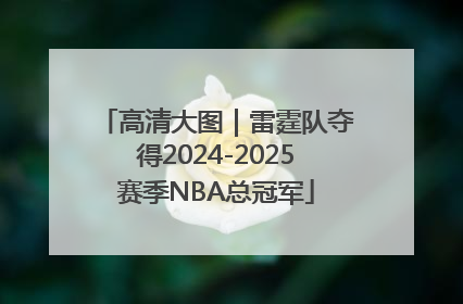 高清大图｜雷霆队夺得2024-2025赛季NBA总冠军