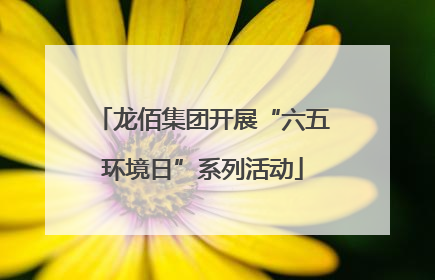 龙佰集团开展“六五环境日”系列活动
