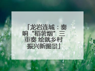 龙岩连城：奏响“稻薯烟”三重奏 绘就乡村振兴新图景