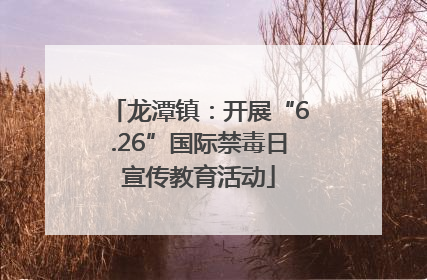 龙潭镇：开展“6.26”国际禁毒日宣传教育活动