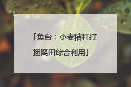 鱼台：小麦秸秆打捆离田综合利用