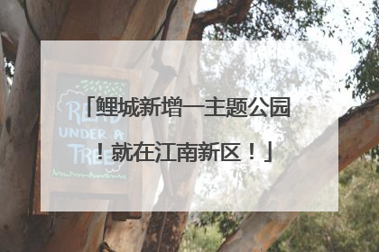 鲤城新增一主题公园！就在江南新区！