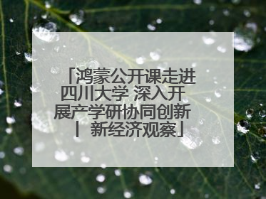 鸿蒙公开课走进四川大学 深入开展产学研协同创新丨 新经济观察
