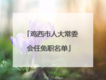 鸡西市人大常委会任免职名单