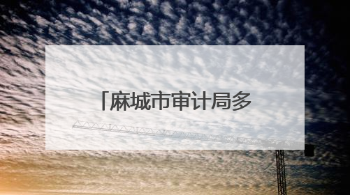 麻城市审计局多措并举推进全省审计机关 “三大提升年” 行动