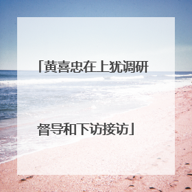 黄喜忠在上犹调研督导和下访接访