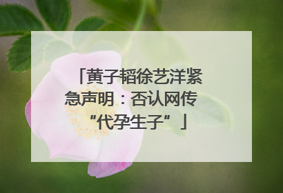 黄子韬徐艺洋紧急声明：否认网传 “代孕生子”