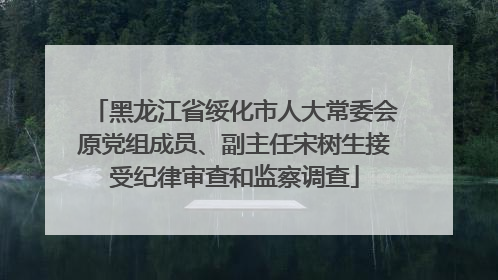 黑龙江省绥化市人大常委会原党组成员、副主任宋树生接受纪律审查和监察调查