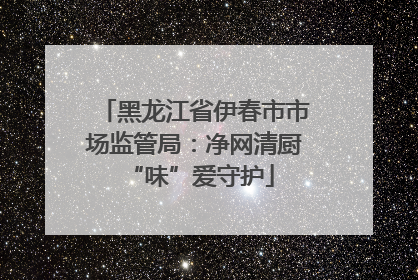 黑龙江省伊春市市场监管局：净网清厨 “味”爱守护