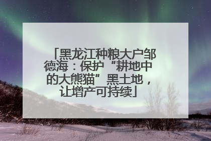 黑龙江种粮大户邹德海：保护“耕地中的大熊猫”黑土地，让增产可持续