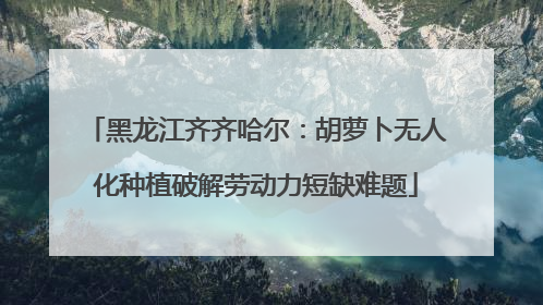 黑龙江齐齐哈尔：胡萝卜无人化种植破解劳动力短缺难题
