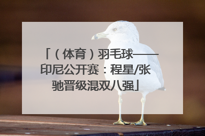 （体育）羽毛球——印尼公开赛：程星/张驰晋级混双八强