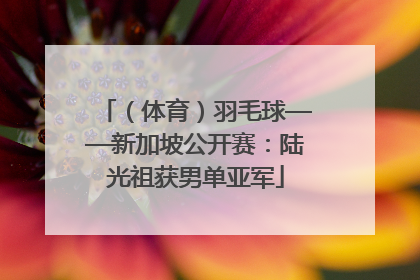 （体育）羽毛球——新加坡公开赛：陆光祖获男单亚军