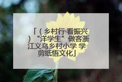 （乡村行·看振兴）“洋学生”做客浙江义乌乡村小学 学剪纸悟文化