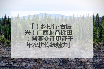 （乡村行·看振兴）广西龙脊梯田：背篓变迁见证千年农耕传统魅力