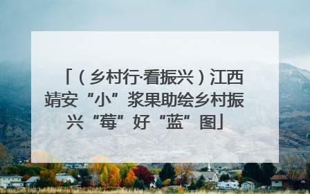 （乡村行·看振兴）江西靖安“小”浆果助绘乡村振兴“莓”好“蓝”图