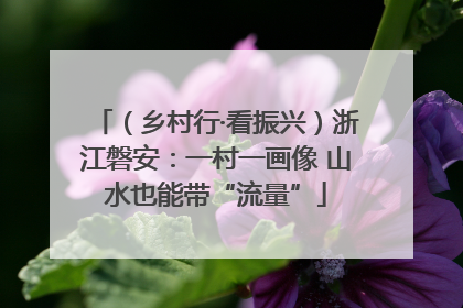 （乡村行·看振兴）浙江磐安：一村一画像 山水也能带“流量”