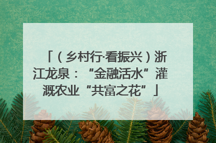 （乡村行·看振兴）浙江龙泉：“金融活水”灌溉农业“共富之花”
