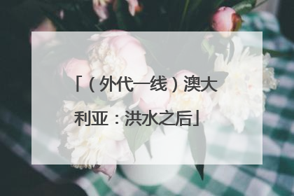 （外代一线）澳大利亚：洪水之后