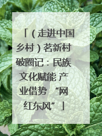 （走进中国乡村）茗新村破圈记：民族文化赋能 产业借势 “网红东风”