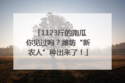 1123斤的南瓜你见过吗？潍坊“新农人”种出来了！