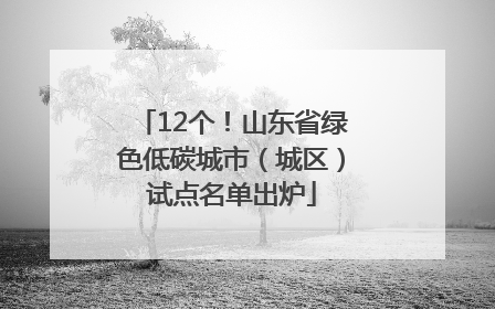 12个！山东省绿色低碳城市（城区）试点名单出炉