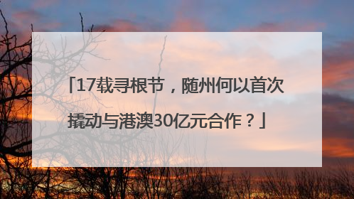 17载寻根节，随州何以首次撬动与港澳30亿元合作？