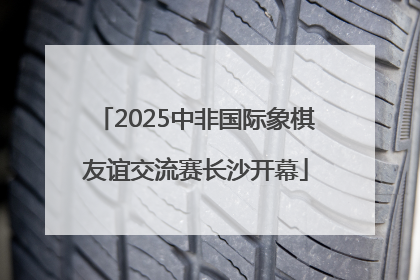 2025中非国际象棋友谊交流赛长沙开幕