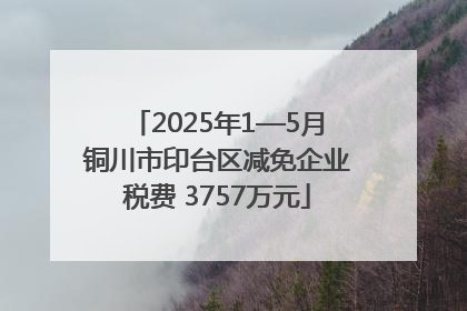 2025年1—5月铜川市印台区减免企业税费 3757万元