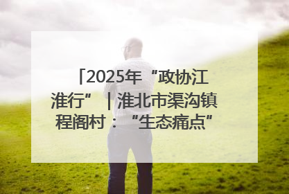 2025年“政协江淮行”｜淮北市渠沟镇程阁村：“生态痛点”变“生态景观”
